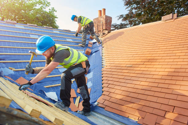 Best Roof Ventilation Installation  in Fort Lupton, CO